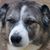 Sue Smith's profile image