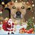 Darlene Bram's profile image