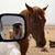 Wendy Kaveney's profile image