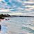 Donna Andre's profile image