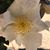 Tina Schoolcraft's profile image