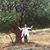Rosemary Sorg's profile image