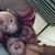 Andrew Rodriguez's profile image