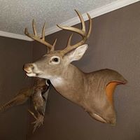 Dean Ratliff's profile image