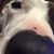 Loren White's profile image
