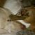 Dexter M Fairchild's profile image