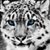 Lynette KR's profile image