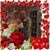 Sandy Catt's profile image