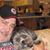 Roger Andrick's profile image