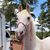 Joy Cico Boyer's profile image