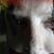 J Marcus Weekley's profile image