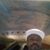 Marcus White's profile image