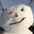 John Vasquez's profile image
