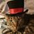 Robert Russell's profile image