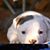 Tom Tomas's profile image