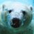 William Paez's profile image