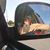 Kimberly Jo Sullivan's profile image