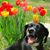 Lily R. Carter's profile image