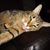 Annette Stamm's profile image
