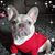 Lynette Green's profile image