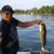 Dave Goulet's profile image