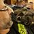 Steve Swift's profile image
