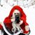 Debbie McCutchen's profile image