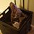 Judy Gorman Mellberg's profile image
