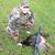 Hoyt Deaton's profile image