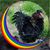 Liz Boyd-Oliver's profile image