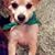 Jerrylynn Leavitt Perkins's profile image