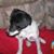 Beth Neub's profile image