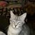 Arlene Frayer's profile image