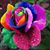 Belinda Rivera's profile image