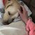 Margie Cothran Garrity's profile image