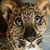Carmen Waitman Stockwell's profile image