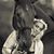 Cece Georgiev's profile image