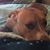 Lori Hinkle Marshall's profile image