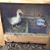 Kathleen Firn Kruckenberg Felice's profile image