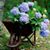 Kathy Smith Thomas's profile image