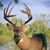 Rodger Benson's profile image