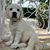 Lesley Lyons's profile image