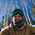 Sebastian Pisfil Romero's profile image