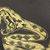 Carl Ingrum's profile image