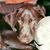 Michelle DiMartini's profile image