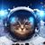 Martin Elmers's profile image