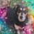 Jose Garcia's profile image