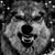 Dana McElligott's profile image