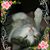 Sheila Satin's profile image