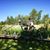 Tom Friedewald's profile image